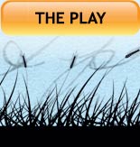 The Play